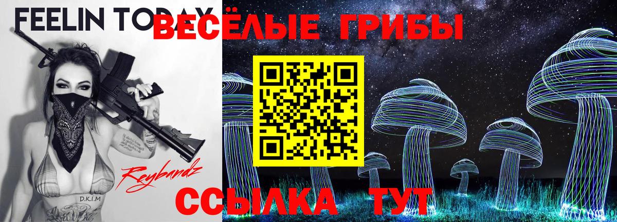 Псилоцибиновые грибы Magic Shrooms  Вход с VPN  Чистополь 
